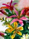 Watercolor art background abstract floral flowers yellow red pink lilies colorful textured wet wash blurred fantasy Royalty Free Stock Photo