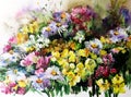 Watercolor art background abstract floral wild flowers meadow colorful textured wet wash blurred fantasy Royalty Free Stock Photo