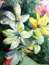 Watercolor art background abstract pattern floral bouquet flowers lilies garden wedding textured wet wash blurred fantasy Royalty Free Stock Photo