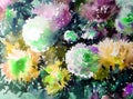 Watercolor art background abstract floral flower aster white pink violet wet wash blurred fantasy Royalty Free Stock Photo