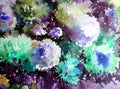 Watercolor art background abstract floral flower aster white pink violet wet wash blurred fantasy Royalty Free Stock Photo