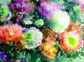 Watercolor art background abstract floral flower aster white pink violet wet wash blurred fantasy Royalty Free Stock Photo