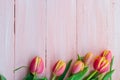 Art abstract background spring tulips wooden design Royalty Free Stock Photo