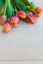 Art abstract background spring tulips wooden design Royalty Free Stock Photo