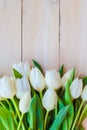 Art abstract background spring tulips wooden design Royalty Free Stock Photo