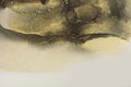 Art Abstract black and gold glow glitter color horizontal watercolor background. Marble texture. Alcohol ink