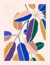 Art Abstract Monstera Leaves Collage in a Minimal Trendy Style. Houseplants Silhouette in a Contemporary Simple Style