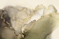 Art Abstract smoke painting blots horizontal background. Alcohol ink brown, beige and gold colors. Marble texture Royalty Free Stock Photo