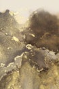 Art Abstract smoke painting blots vertical background. Alcohol ink brown, beige and gold colors. Marble texture Royalty Free Stock Photo