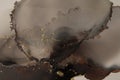 Art Abstract watercolor marble smoke blot painting. Brown and gold Color canvas texture horizontal background. Alcohol ink Royalty Free Stock Photo