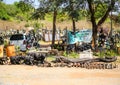 Art Africa Sculpture Park in Livingstone, Zambia