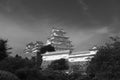 Art and architecture in ancient temples and shrines in Japan