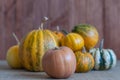Art autumn Pumpkin thanksgiving background. Set of Royalty Free Stock Photo