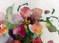 Watercolor art background exotic flower delicate red pink orchid colorful textured wet wash blurred Royalty Free Stock Photo