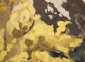 Art background yellow and dark grey color painting Royalty Free Stock Photo