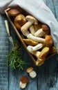 art Basket with fresh porcini mushrooms in the summer or autumn season cep mushrooms and spices herbs on a wooden table Italian Royalty Free Stock Photo