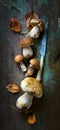 Art beautiful autumn food background;  seasoning forest organic porcini Mushroom Royalty Free Stock Photo