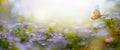 Art Beautiful Blurred Spring Background Nature With Blooming Glade and Fly Butterfly Against Blue Sky on a Sunny Day Royalty Free Stock Photo