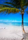 Art beautiful caribbean tropical sea beach Royalty Free Stock Photo