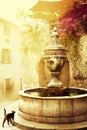 Art beautiful Provence Royalty Free Stock Photo