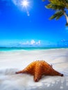 Art Beautiful sea beach on a Caribbean island Royalty Free Stock Photo