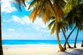 Art beautiful untouched tropical sea beach Royalty Free Stock Photo