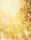 Art blurred background sunny autumn nature landscape Royalty Free Stock Photo