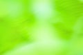 Art blurred green bokeh background with motion effect Royalty Free Stock Photo