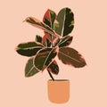 Art collage plant Tropical ficus leaves in a minimal trendy style. Silhouette of a plant. Vector illustration