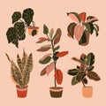 Art collage potted houseplants in a minimal trendy style. Silhouette of sansevieria, begonia and ficus plants. Vector