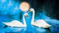 collage with two swans on a night lake with full moon reflection Royalty Free Stock Photo