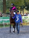 Art Collector and Luis Saez heading towards the track