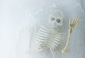 Art concept Death on ice,skeleton in ice