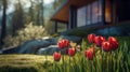 Vibrant Red Tulips In A Serene Vray Tracing Landscape Royalty Free Stock Photo