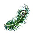 Art Deco Gatsby Peacock Feather Design Royalty Free Stock Photo