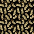 Art Deco Gold Gatsby Feathers Pattern on Black Background Royalty Free Stock Photo