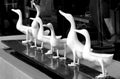 An art of different poses of white ceramic ducks sculptures