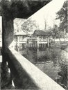 Drawing black and white of pavilion in nature garden