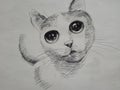 Art Drawing Fine art Sketch Cute Cat Thailand