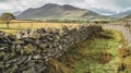 Art of dry stone wall construction in countryside