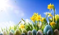 Art Easter background; Spring flowers and easter eggs