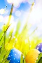 Art Easter eggs decorated in the grass Royalty Free Stock Photo