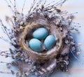 Art Easter eggs and spring flovers on wood background