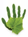 Art Ecological symbol hand of nature