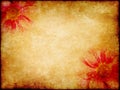 Art elegance flower paper Royalty Free Stock Photo