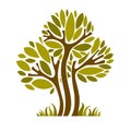 Art fairy illustration of tree, stylized eco symbol. Insight vector image on season idea, beautiful picture. Royalty Free Stock Photo