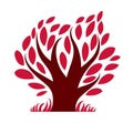 Art fairy illustration of tree, stylized eco symbol. Insight Royalty Free Stock Photo