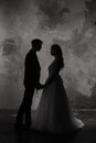 Art fashion studio photo of wedding couple silhouette groom and bride on colors background. Royalty Free Stock Photo