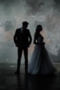 Art fashion studio photo of wedding couple silhouette groom and bride on colors background. Royalty Free Stock Photo