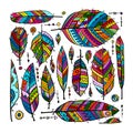 Art feathers collection, ornate sketch for your design